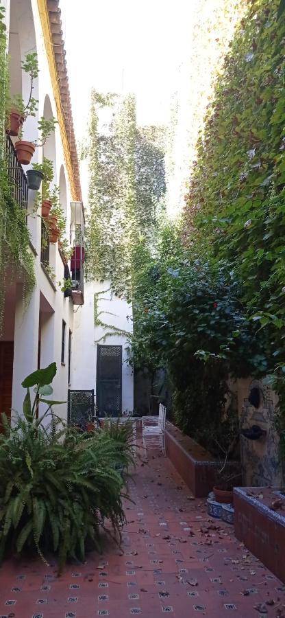 Apartamento Santa Cruz 3 Appartement *
