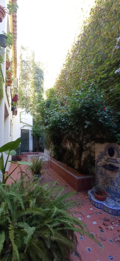 Apartamento Santa Cruz 3 * Séville